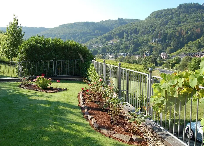 ホテル Flair Am Rosenhuegel - Garni コッヘム