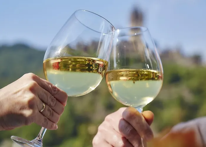 ホテル Flair Am Rosenhuegel - Garni 3*